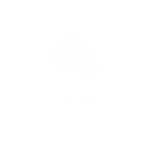 Logo_FuturaBiro_transparent_kocka2